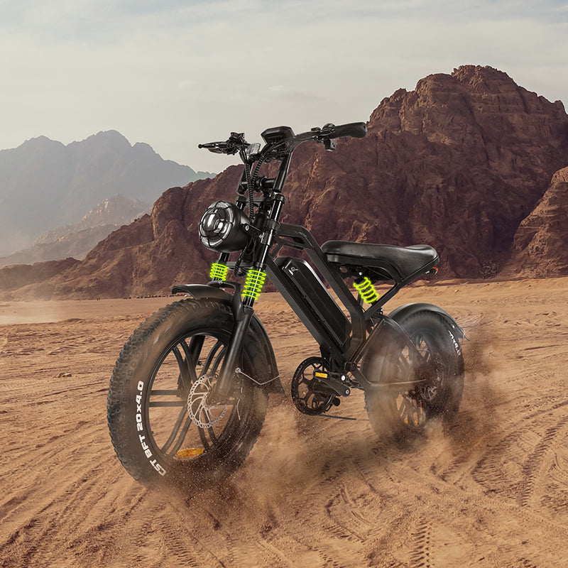 電動アシスト自転車 オクシ(OUXI) V20