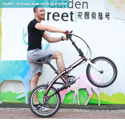 チェーンレス折りたたみ自転車 CLF-20D