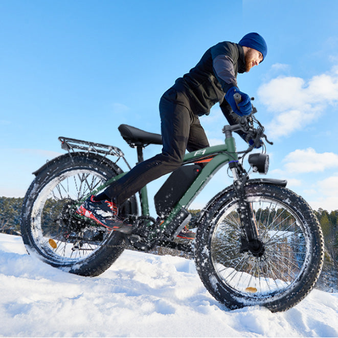 マウンテン EV-F1