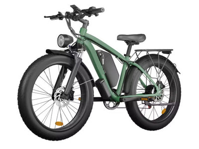 マウンテン EV-F1